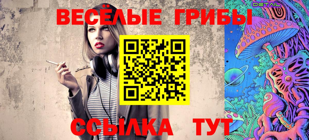 Кингисепп  Галлюциногенные грибы Cubensis  Вход с VPN  Псилоцибиновые грибы Psilocybine cubensis 